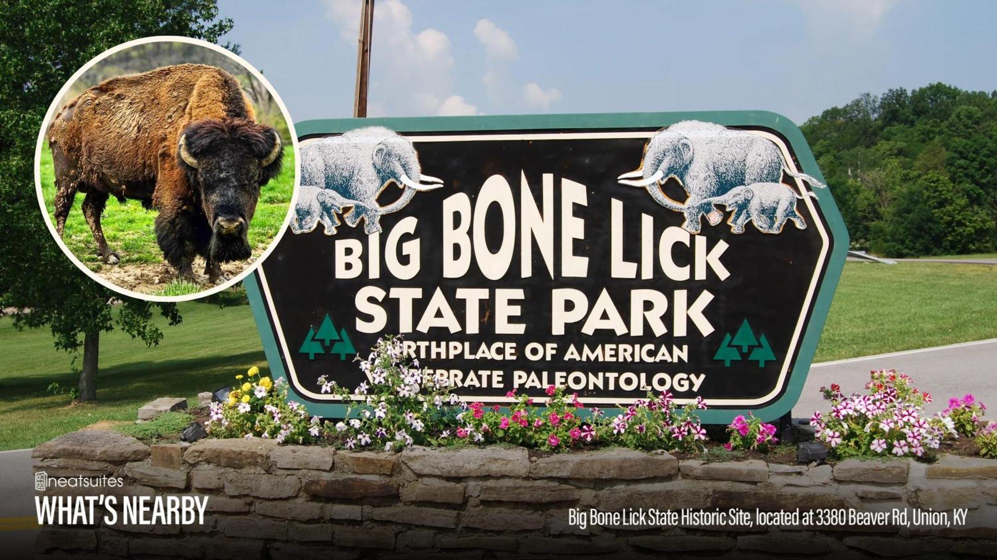 The Lodges At Eden Reserve - Pet Friendly Cabins Near Ark Вільямстаун Екстер'єр фото